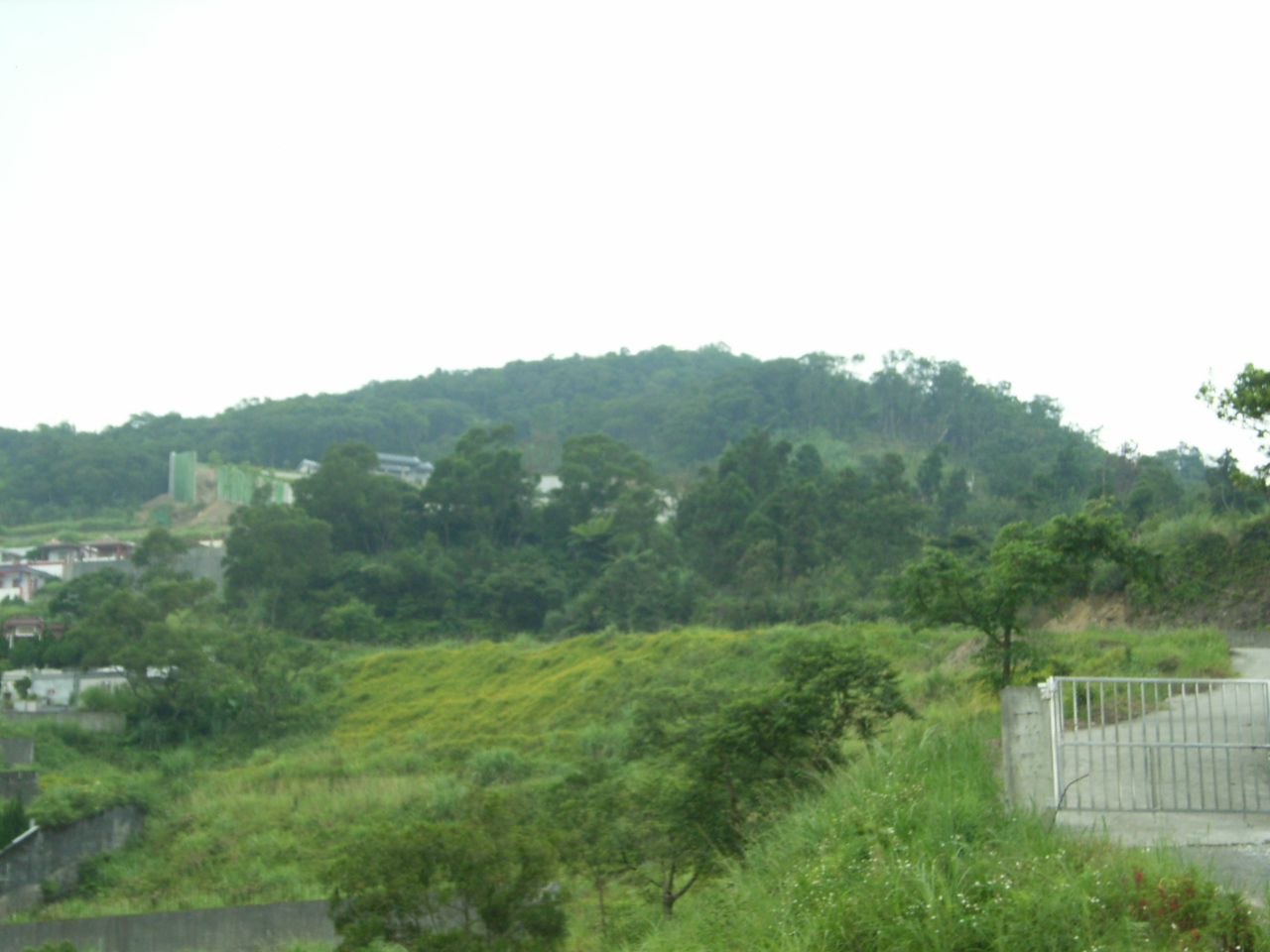 1 211.jpg